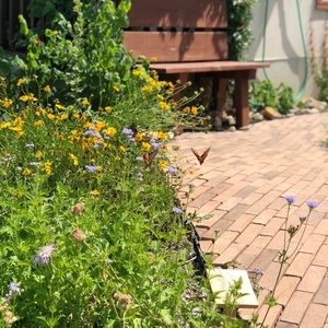 Meet your Posher, Isabel